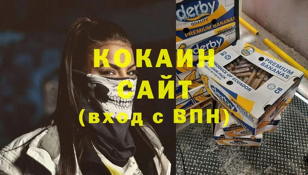 амф Алзамай