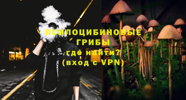 метадон Алексин