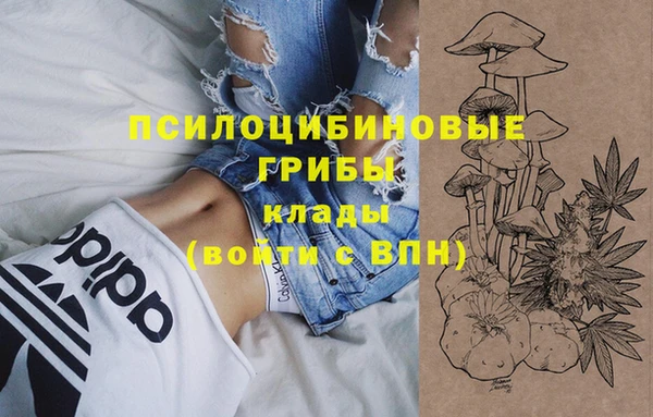 амф Алзамай