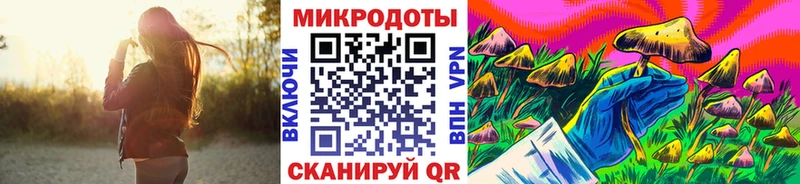 blacksprut   Феодосия  Галлюциногенные грибы Psilocybe 